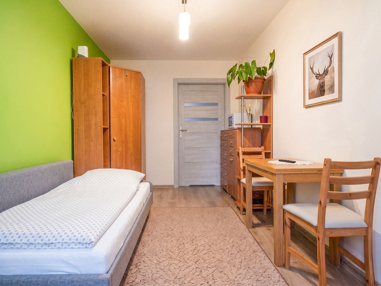 Jasne wnętrze studia z rozkładaną sofą